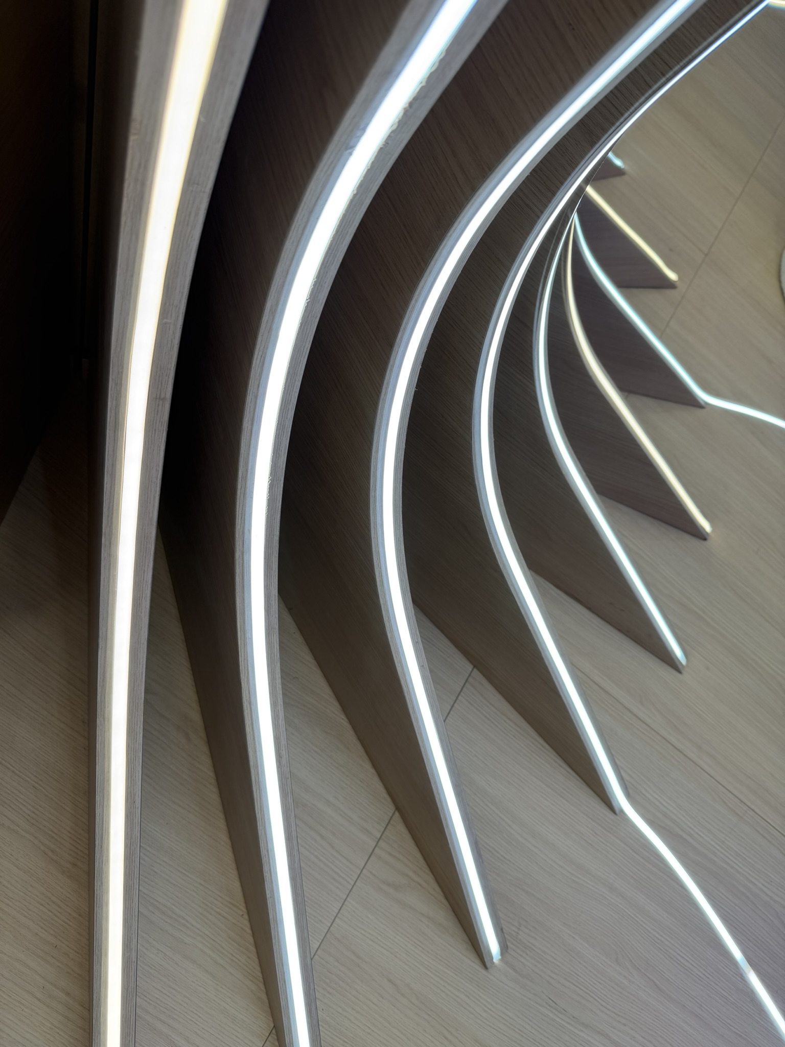 45173A86-FF10-42CC-8E70-11A80C3FB6E9_1_102_o