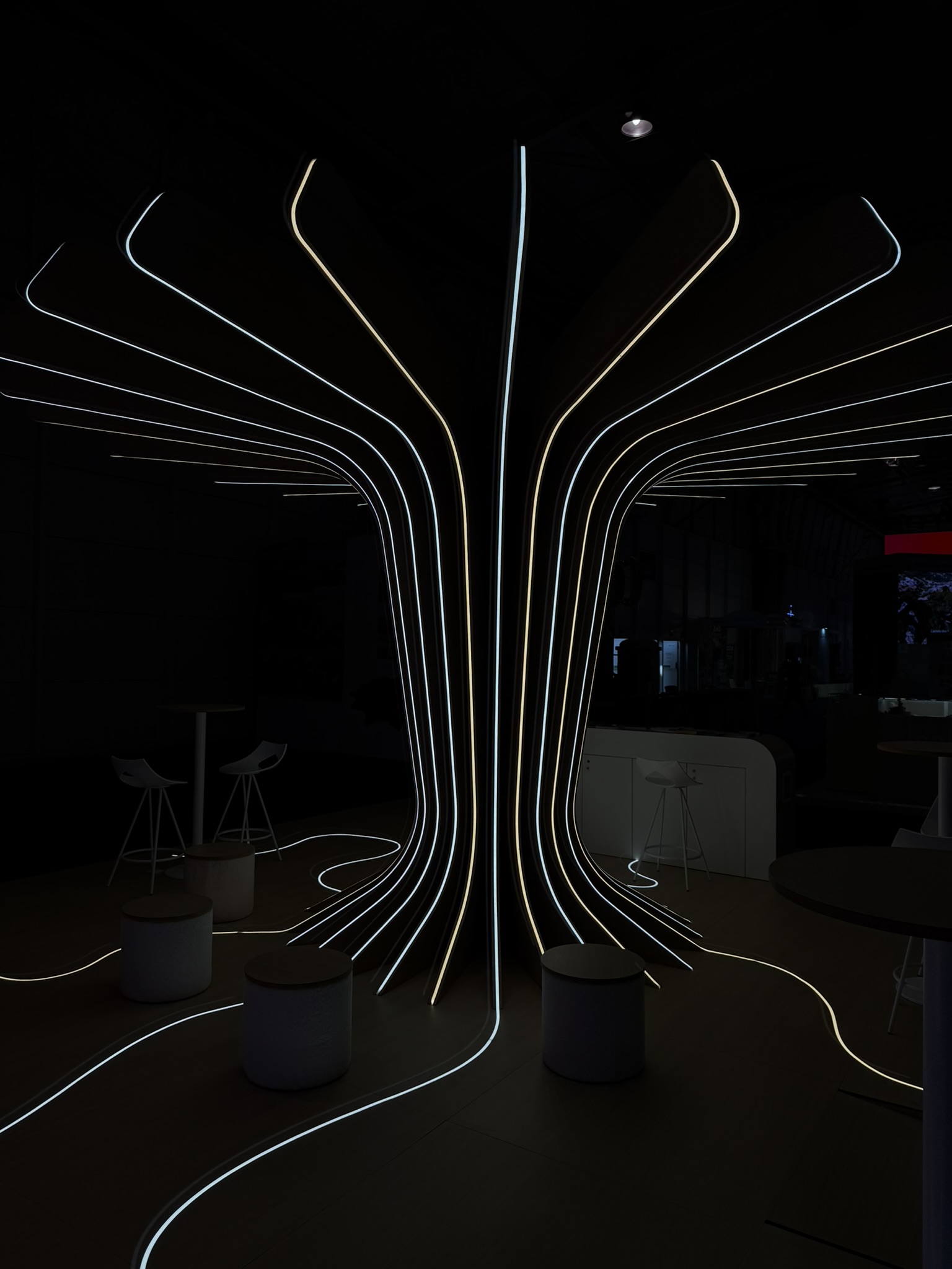 47882241-96B0-41AF-A061-113815A7EC74_1_102_o