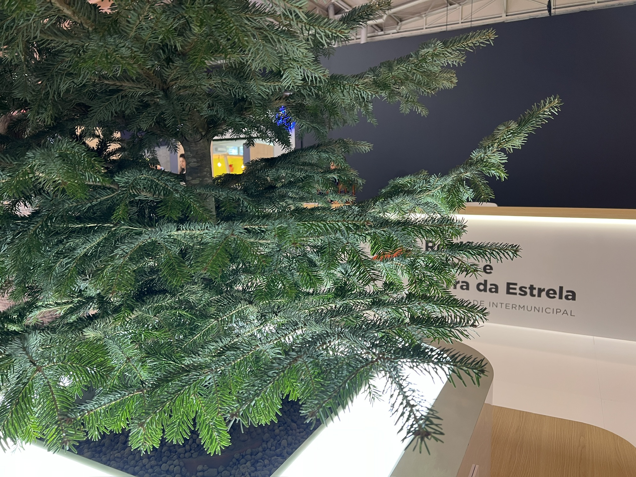 4E5DA511-9E57-436F-868C-52414CC19DBD_1_102_o