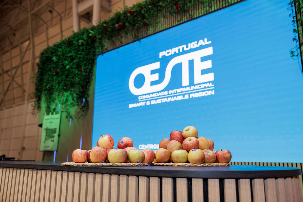 646302753_1361436949343121_225269685098114366_n